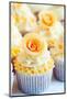 Wedding Cupcakes-Ruth Black-Mounted Photographic Print