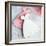 Wedding Dress Cookies-Ruth Black-Framed Photographic Print