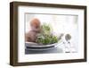 Wedding Elegant Dining Table Setting-manera-Framed Photographic Print