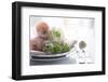 Wedding Elegant Dining Table Setting-manera-Framed Photographic Print