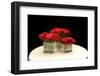 Wedding Flowers Table Centre Piece-DallasEventsInc-Framed Photographic Print