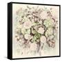 Wedding Flowers-Alison Cooper-Framed Stretched Canvas