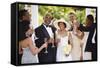 Wedding Guests Toasting Bride and Groom-Blend Images-Framed Stretched Canvas