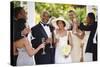 Wedding Guests Toasting Bride and Groom-Blend Images-Stretched Canvas