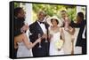 Wedding Guests Toasting Bride and Groom-Blend Images-Framed Stretched Canvas