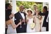 Wedding Guests Toasting Bride and Groom-Blend Images-Mounted Photographic Print