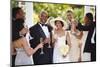 Wedding Guests Toasting Bride and Groom-Blend Images-Mounted Photographic Print