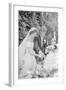 Wedding of Jackie Bouvier and Senator John F. Kennedy at Newport, Rhode Island, 1953-Toni Frissell-Framed Photographic Print