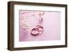 Wedding Rings on a Soft Pastel Background.-Ekaterina Mesilova-Framed Photographic Print