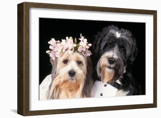 Wedding-null-Framed Photographic Print