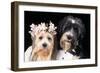 Wedding-null-Framed Photographic Print