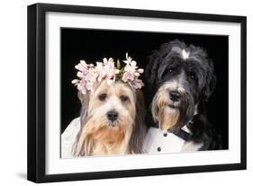 Wedding-null-Framed Photographic Print