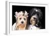 Wedding-null-Framed Photographic Print