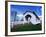 Weddle Covered Bridge-Ike Leahy-Framed Photographic Print