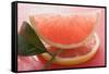 Wedge of Pink Grapefruit on Slice of Grapefruit with Leaf-Foodcollection-Framed Stretched Canvas