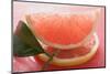 Wedge of Pink Grapefruit on Slice of Grapefruit with Leaf-Foodcollection-Mounted Photographic Print