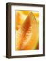 Wedge of Sweet Melon (Detail)-Foodcollection-Framed Photographic Print