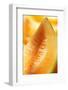 Wedge of Sweet Melon (Detail)-Foodcollection-Framed Photographic Print