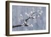 Wedgewood and Blossoms-Sasha-Framed Giclee Print