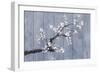 Wedgewood and Blossoms-Sasha-Framed Giclee Print