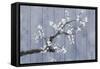 Wedgewood and Blossoms-Sasha-Framed Stretched Canvas