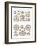 Wedgwood Etruria Ceramics-null-Framed Art Print