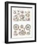 Wedgwood Etruria Ceramics-null-Framed Art Print