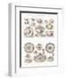 Wedgwood Etruria Ceramics-null-Framed Art Print