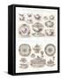 Wedgwood Etruria Ceramics-null-Framed Stretched Canvas