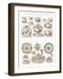 Wedgwood Etruria Ceramics-null-Framed Art Print