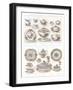 Wedgwood Etruria Ceramics-null-Framed Art Print