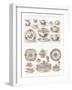 Wedgwood Etruria Ceramics-null-Framed Art Print