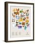 Wee Alphas Print-Wee Society-Framed Art Print