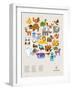 Wee Alphas Print-Wee Society-Framed Art Print