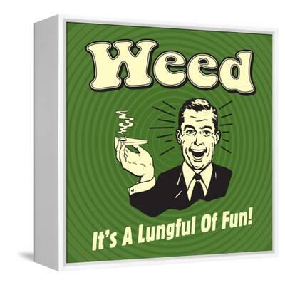 Marijuana It's a Lungful of Fun Funny Humor Retro Home Business Office Sign 