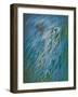 Weeds and water, c.1984-Isabel Alexander-Framed Giclee Print