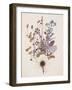 Weeds-Anahata Katkin-Framed Giclee Print