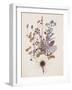Weeds-Anahata Katkin-Framed Giclee Print