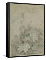 Weeds-Richard Wilson-Framed Stretched Canvas