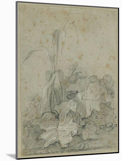 Weeds-Richard Wilson-Mounted Giclee Print