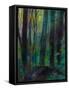 Weekend in the Woods-Robin Maria-Framed Stretched Canvas