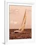 Weekend Sail I-Alan Hausenflock-Framed Photographic Print