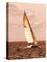 Weekend Sail II-Alan Hausenflock-Stretched Canvas