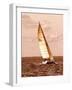 Weekend Sail II-Alan Hausenflock-Framed Photographic Print