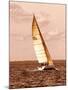 Weekend Sail II-Alan Hausenflock-Mounted Photographic Print