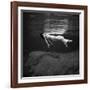 Weeki Wachee Spring, Florida, c.1947-Toni Frissell-Framed Photographic Print