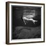 Weeki Wachee Spring, Florida, c.1947-Toni Frissell-Framed Photographic Print