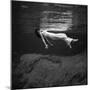 Weeki Wachee Spring, Florida, c.1947-Toni Frissell-Mounted Photographic Print