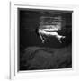 Weeki Wachee Spring, Florida-Toni Frissell-Framed Photo