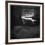 Weeki Wachee Spring, Florida-Toni Frissell-Framed Photo